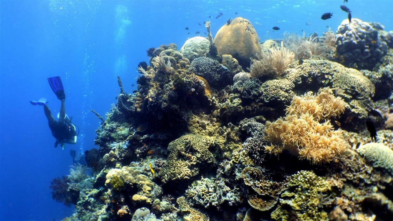 Bunaken Sea Garden Resort Экстерьер фото